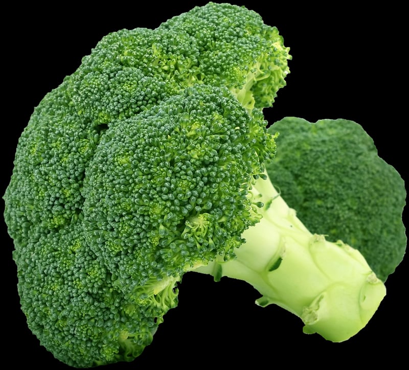 Plant-Based Innovations